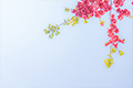 花開校園