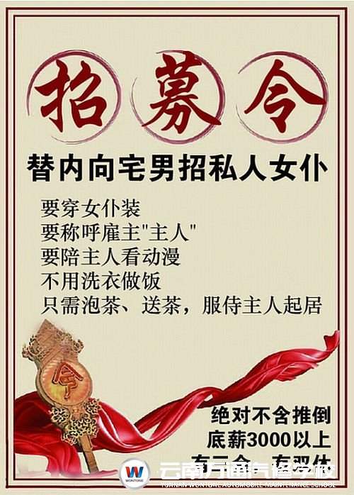 宅男招女仆